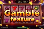The Gamble Feature in Video Slots