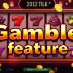 The Gamble Feature in Video Slots